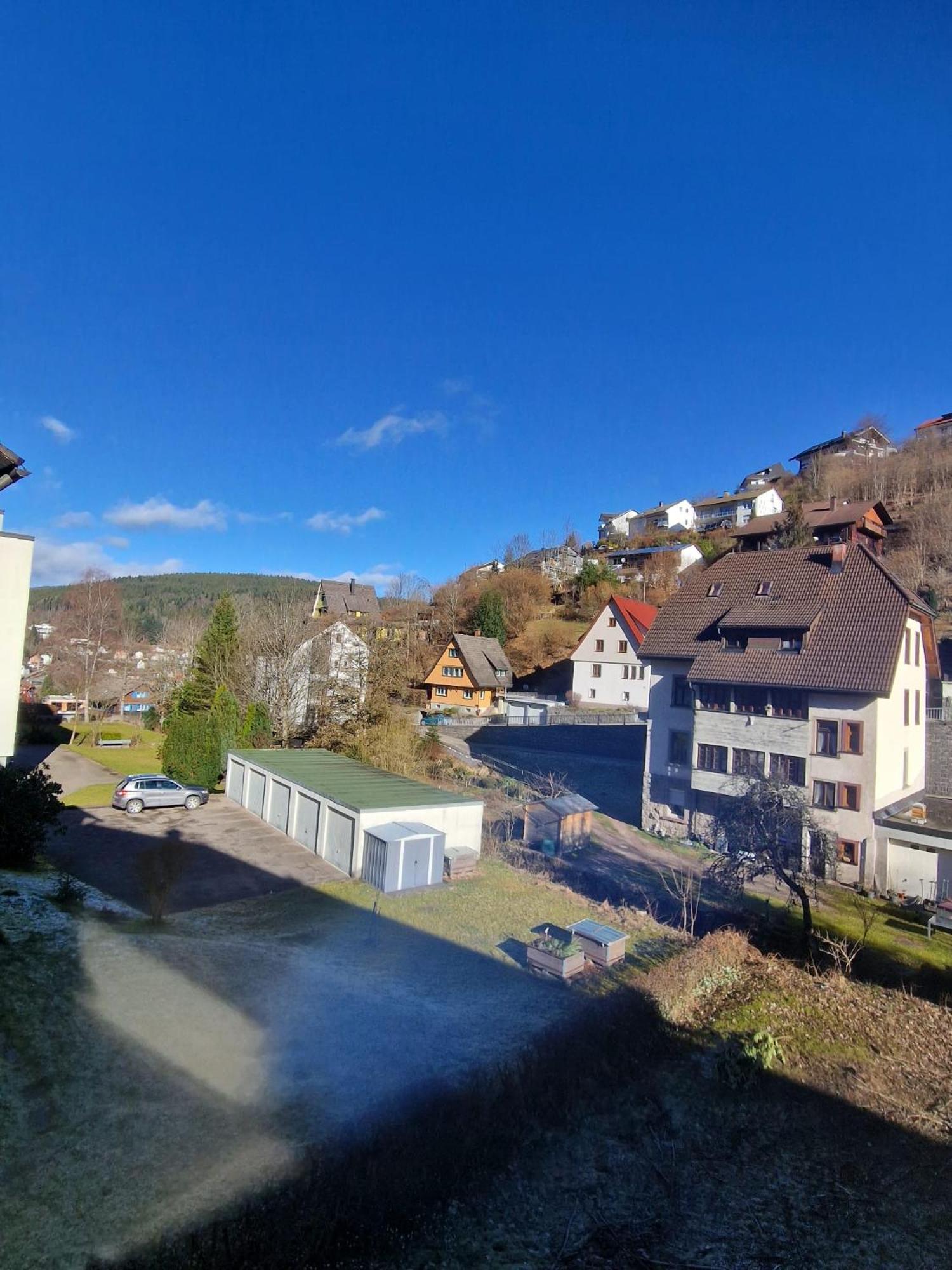 Holiday Apartment Near Triberg Waterfall Triberg im Schwarzwald Luaran gambar
